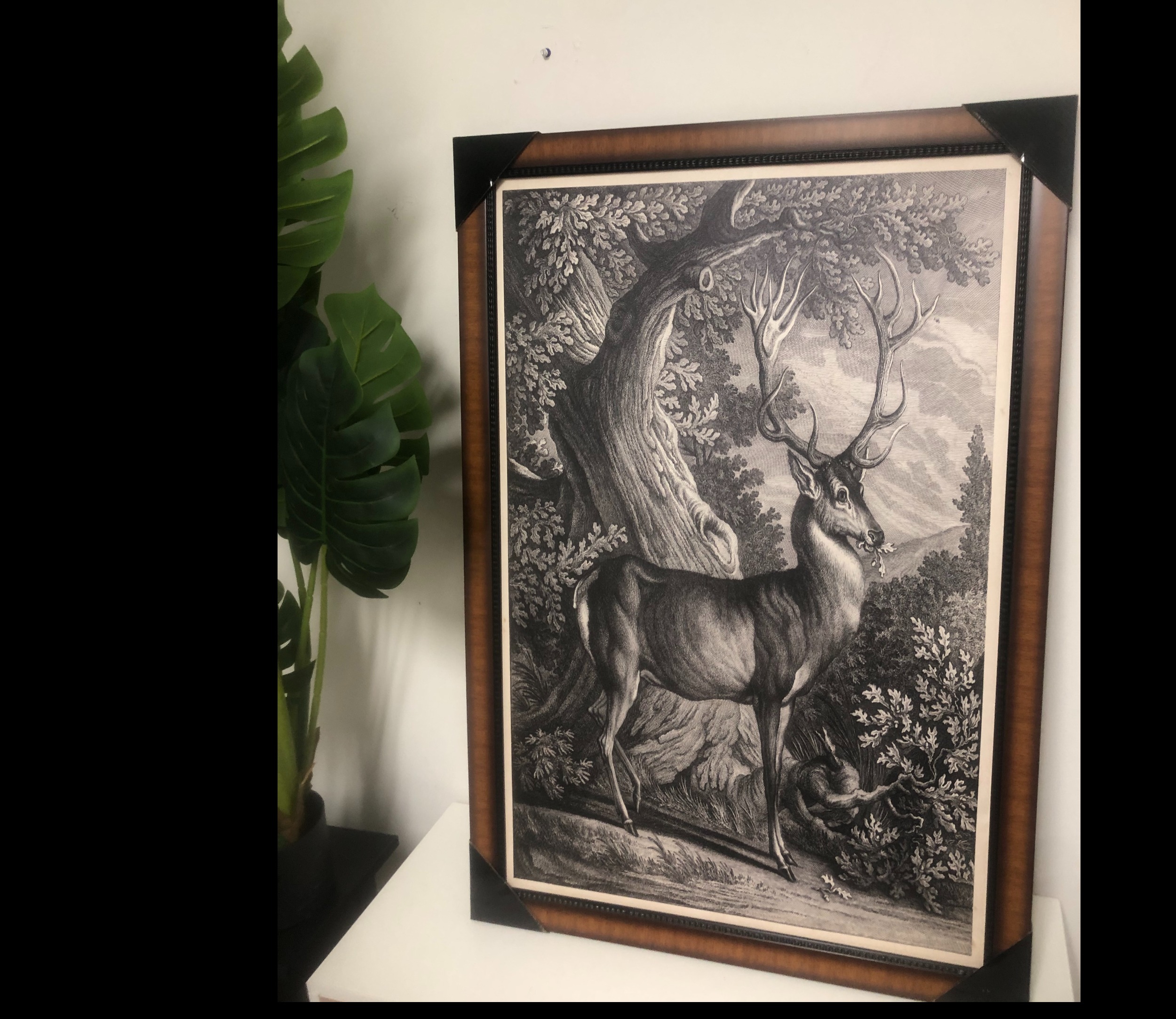 Pintura "Ciervo del Bosque"