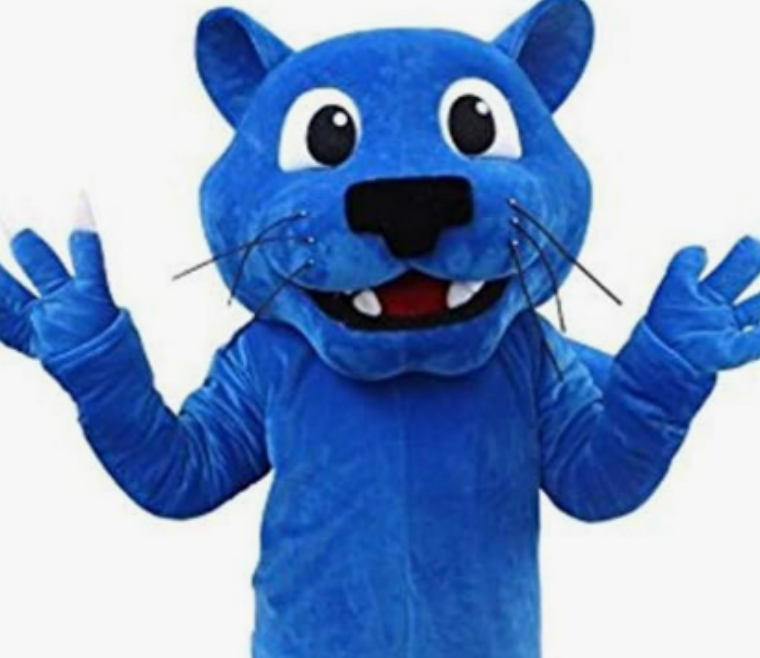 Disfraz de Cosplay